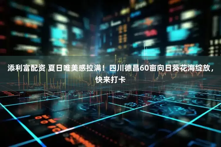 添利富配资 夏日唯美感拉满！四川德昌60亩向日葵花海绽放，快来打卡