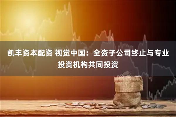 凯丰资本配资 视觉中国：全资子公司终止与专业投资机构共同投资