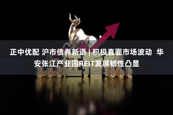正中优配 沪市债券新语 | 积极直面市场波动  华安张江产业园REIT发展韧性凸显