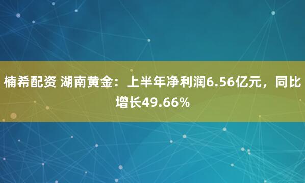 楠希配资 湖南黄金：上半年净利润6.56亿元，同比增长49.66%