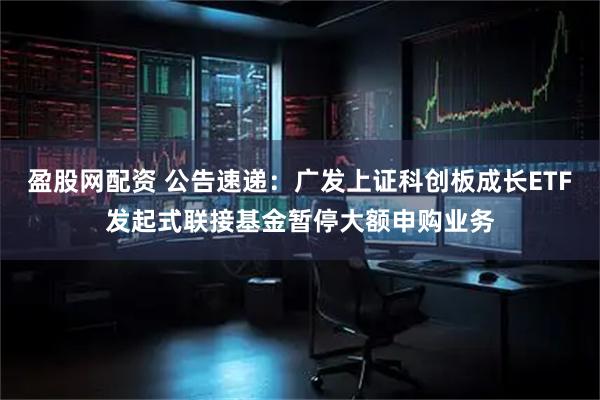 盈股网配资 公告速递：广发上证科创板成长ETF发起式联接基金暂停大额申购业务
