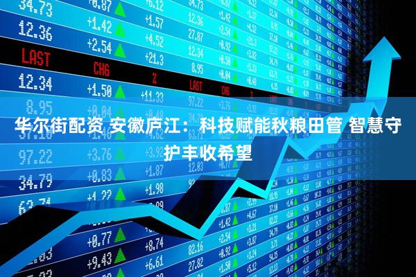 华尔街配资 安徽庐江：科技赋能秋粮田管 智慧守护丰收希望
