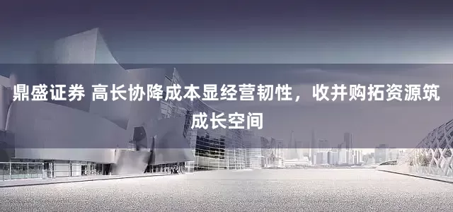 鼎盛证券 高长协降成本显经营韧性，收并购拓资源筑成长空间