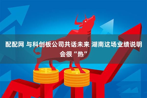 配配网 与科创板公司共话未来 湖南这场业绩说明会很“热”