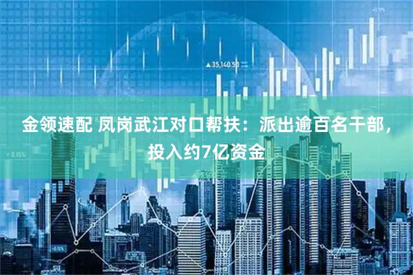 金领速配 凤岗武江对口帮扶：派出逾百名干部，投入约7亿资金