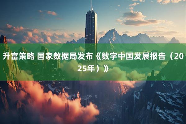升富策略 国家数据局发布《数字中国发展报告（2025年）》
